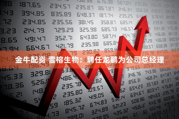 金牛配资 雪榕生物：聘任龙鹏为公司总经理