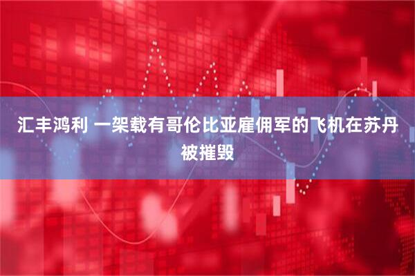 汇丰鸿利 一架载有哥伦比亚雇佣军的飞机在苏丹被摧毁