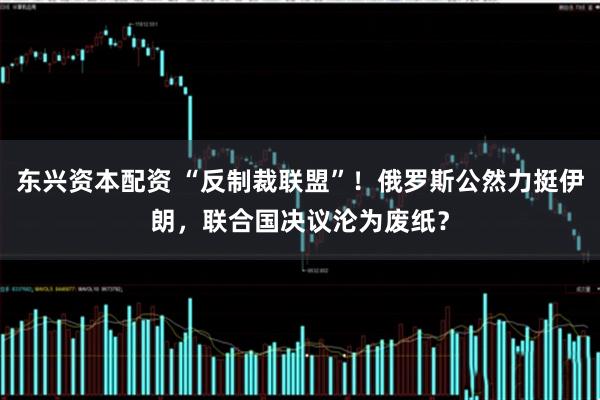 东兴资本配资 “反制裁联盟”!俄罗斯公然力挺伊朗,联合国决议沦为废纸?