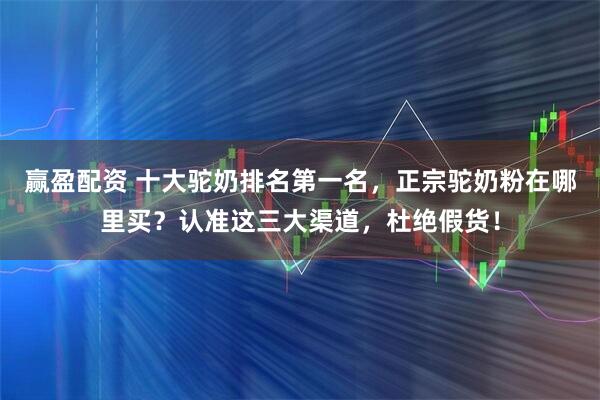 赢盈配资 十大驼奶排名第一名，正宗驼奶粉在哪里买？认准这三大渠道，杜绝假货！