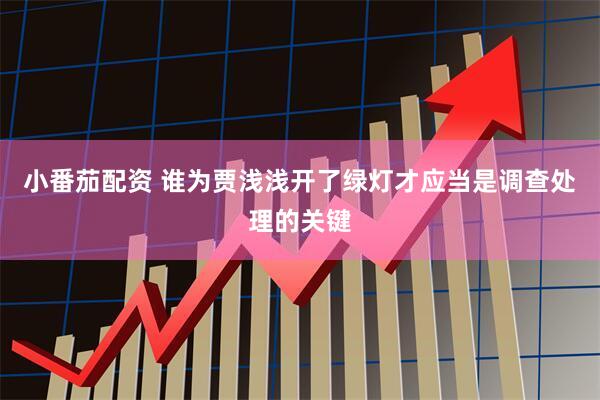 小番茄配资 谁为贾浅浅开了绿灯才应当是调查处理的关键